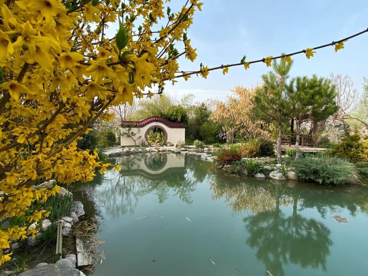 Uzumfermer Hotel & Winery 塔什干 外观 照片