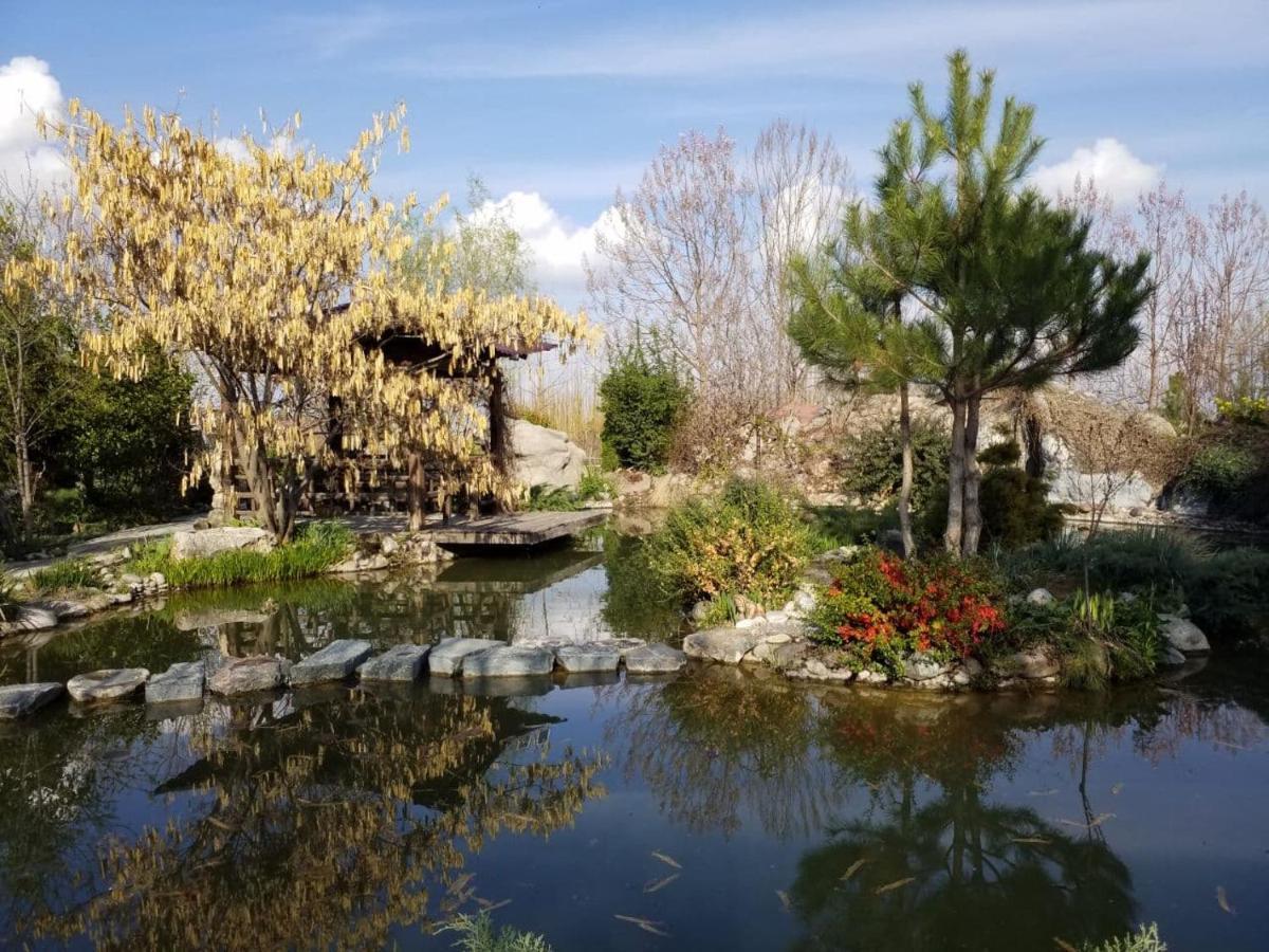 Uzumfermer Hotel & Winery 塔什干 外观 照片