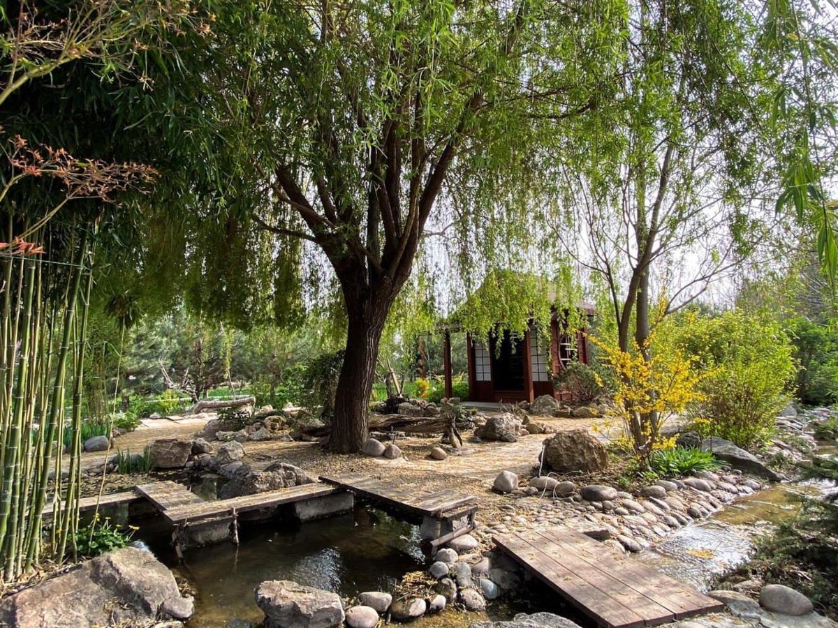 Uzumfermer Hotel & Winery 塔什干 外观 照片