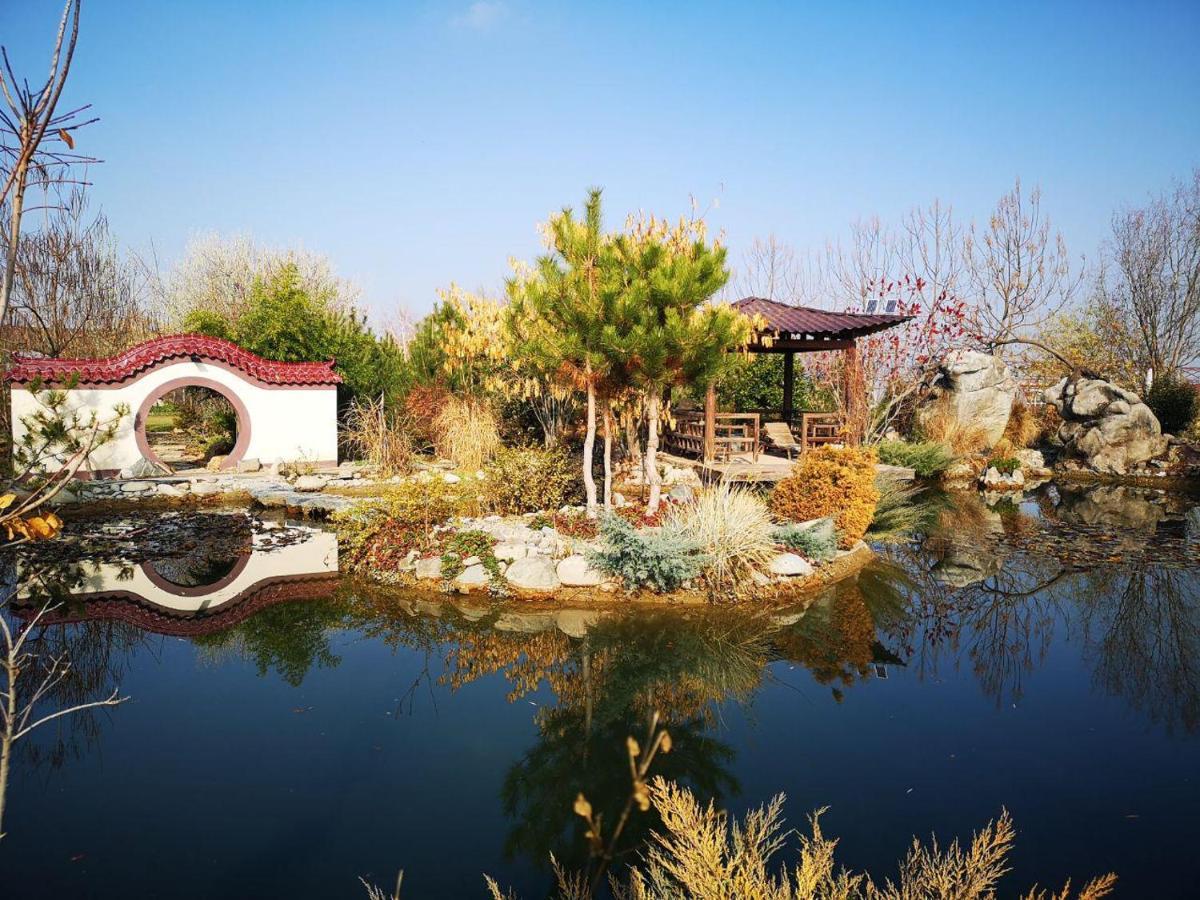 Uzumfermer Hotel & Winery 塔什干 外观 照片