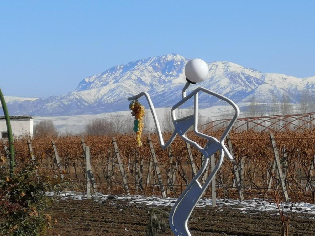 Uzumfermer Hotel & Winery 塔什干 外观 照片