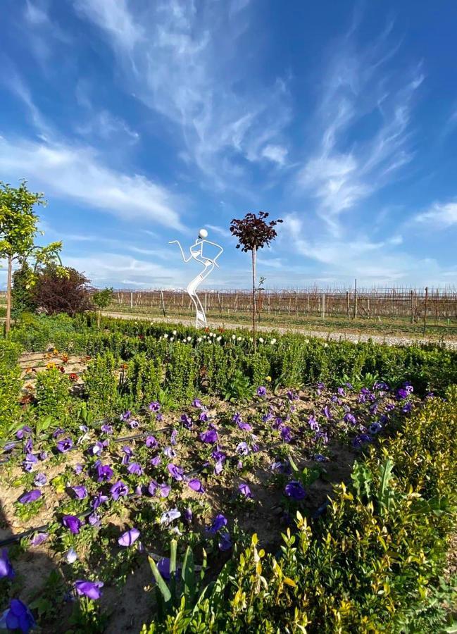 Uzumfermer Hotel & Winery 塔什干 外观 照片